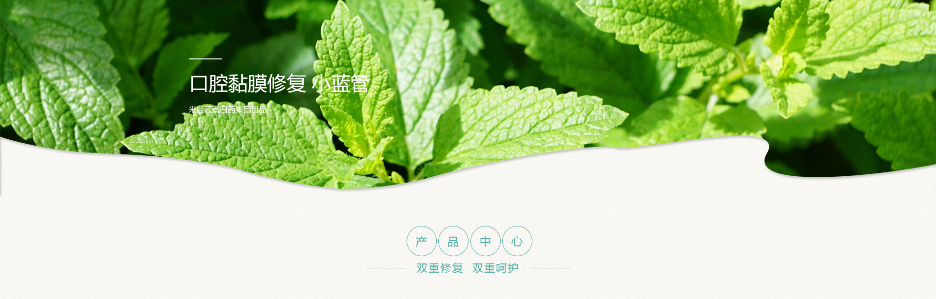 香港和宝典宝典资料大全