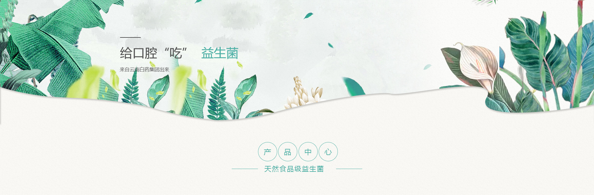 香港和宝典宝典资料大全