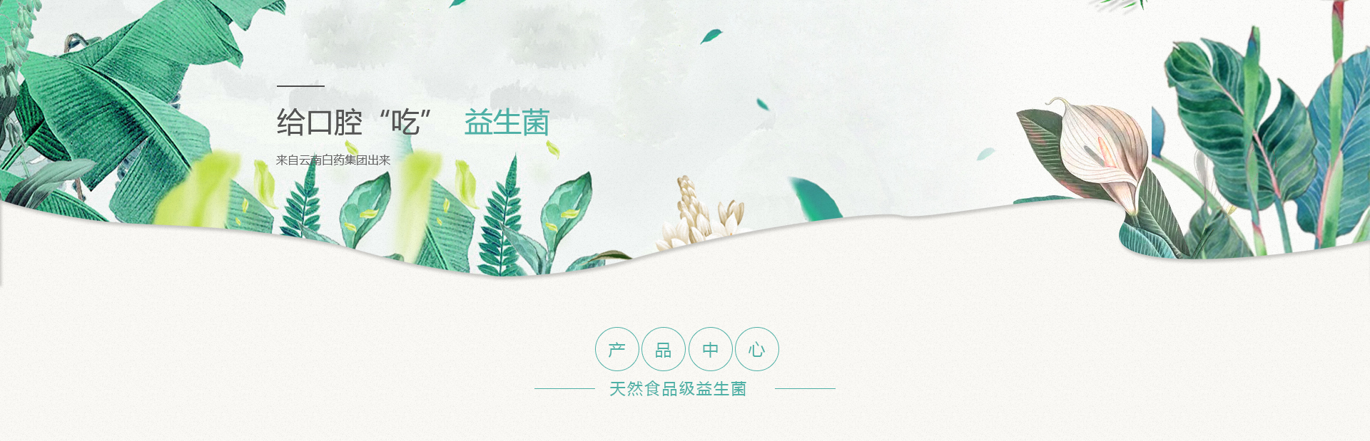 香港和宝典宝典资料大全